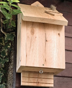 RSPB bat box.jpg RSPB bat box.jpg